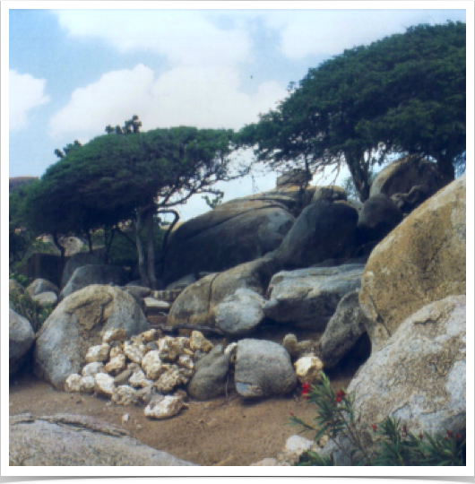 Ayo Rock Formations are monolithic rock boulders located on the island of Aruba in the Caribbean. 